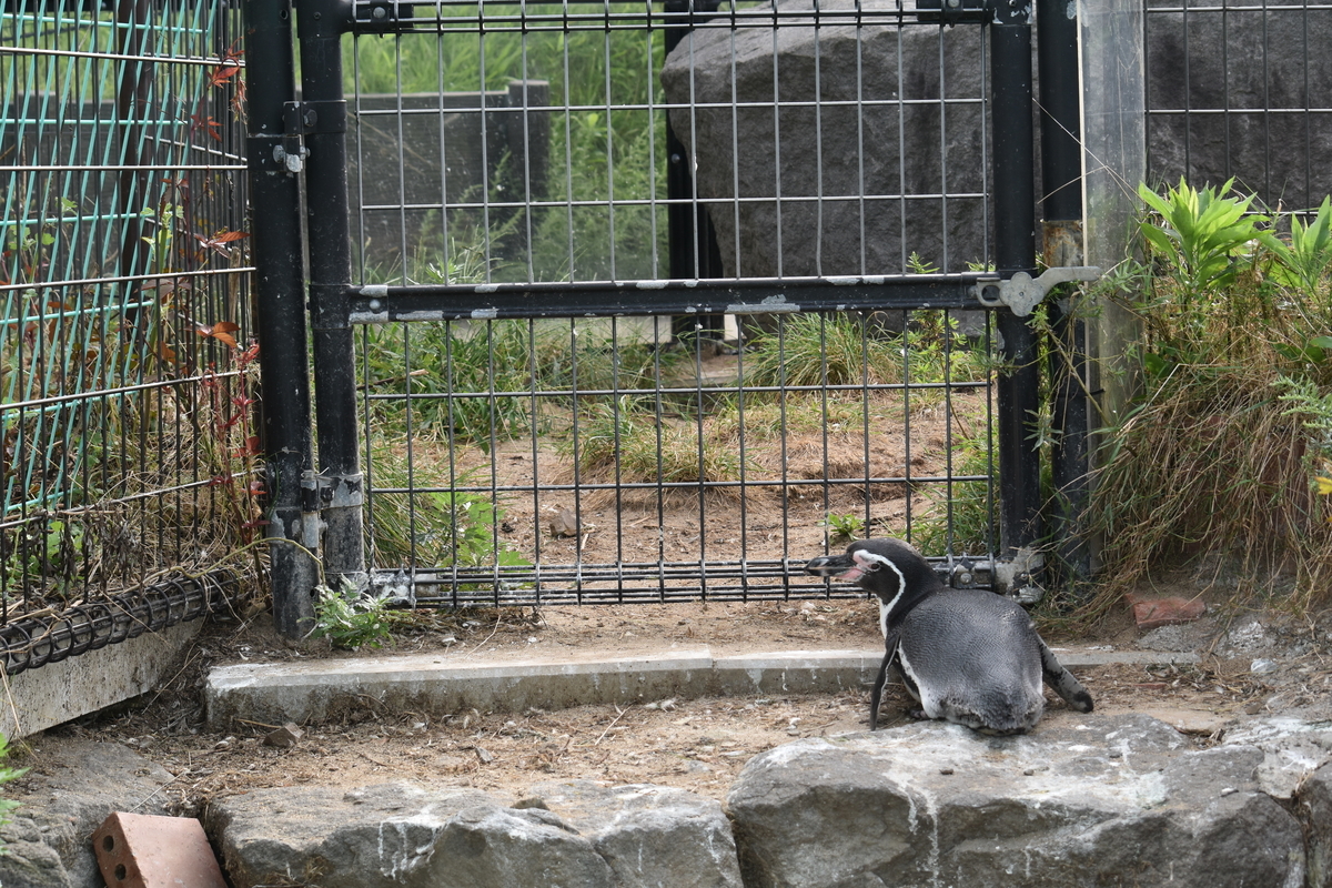 f:id:on-yasuken:20200912153017j:plain