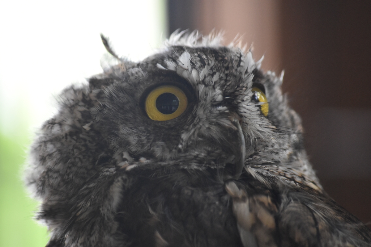 f:id:on-yasuken:20200912153436j:plain