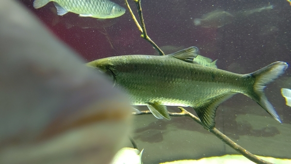 f:id:on-yasuken:20200919123608j:plain