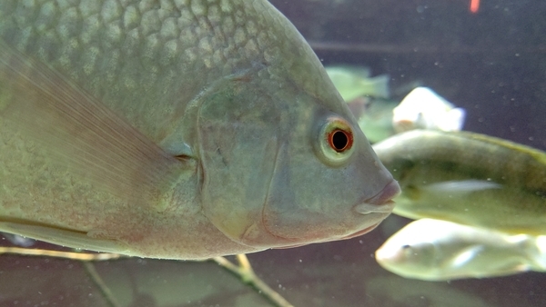 f:id:on-yasuken:20200919123618j:plain