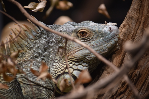 f:id:on-yasuken:20200919124016j:plain