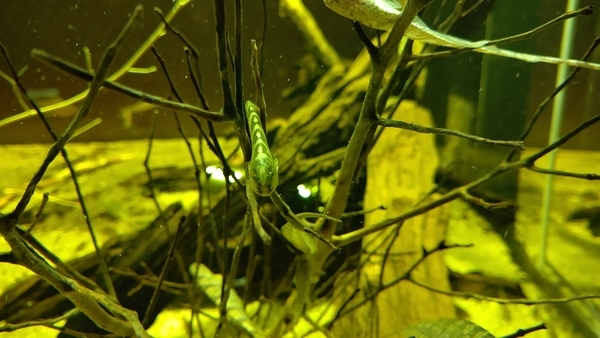 f:id:on-yasuken:20200919124406j:plain