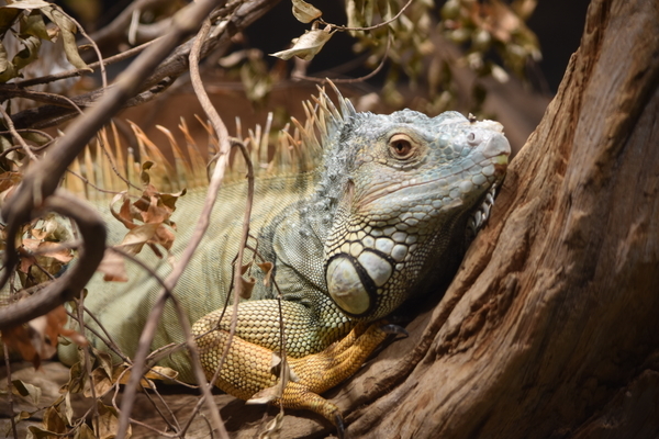 f:id:on-yasuken:20200919130037j:plain