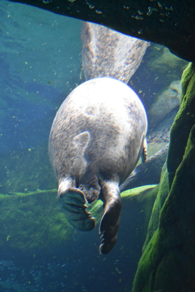 f:id:on-yasuken:20201001153201j:plain