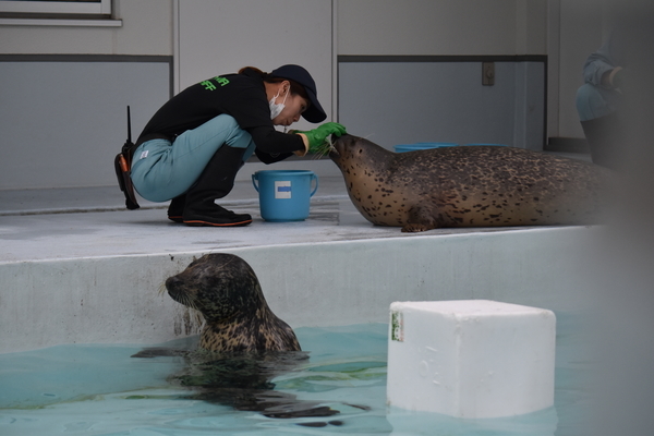 f:id:on-yasuken:20201001160733j:plain