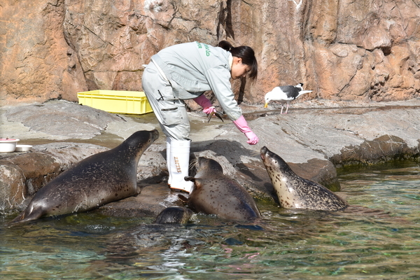 f:id:on-yasuken:20201026114119j:plain