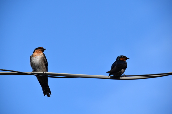 f:id:on-yasuken:20210409153924j:plain