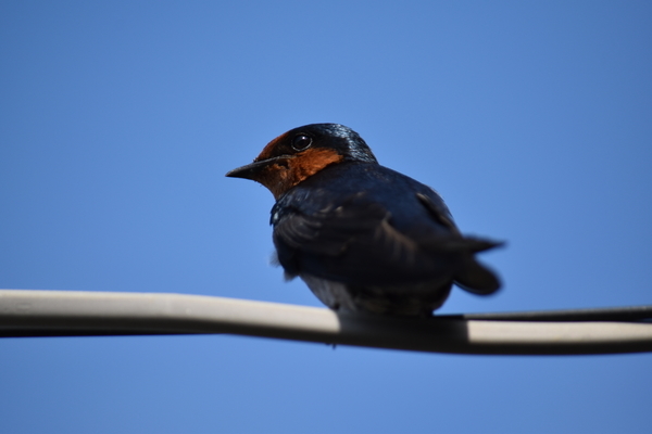 f:id:on-yasuken:20210409154317j:plain