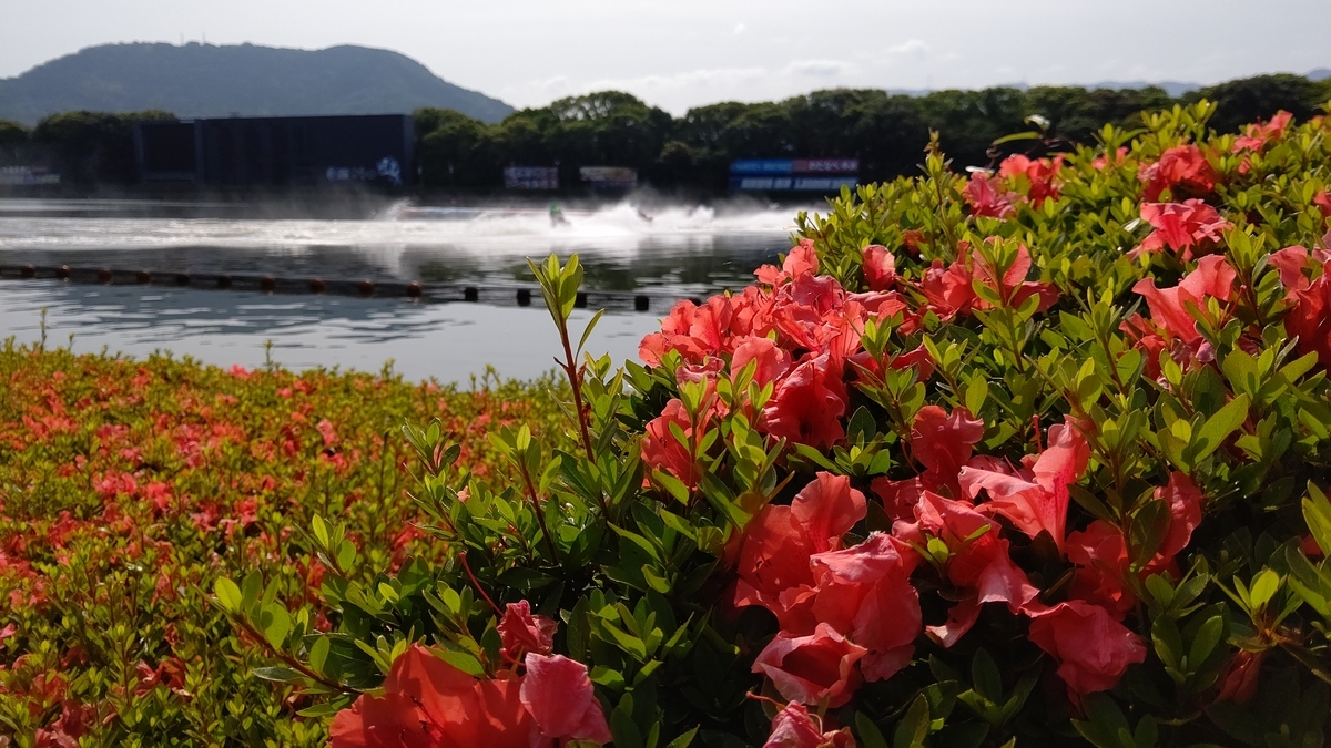 f:id:on-yasuken:20210607085358j:plain