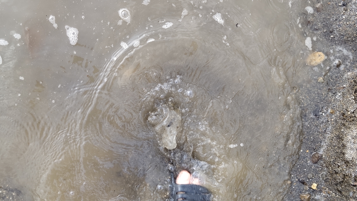 f:id:on-yasuken:20210813160248j:plain