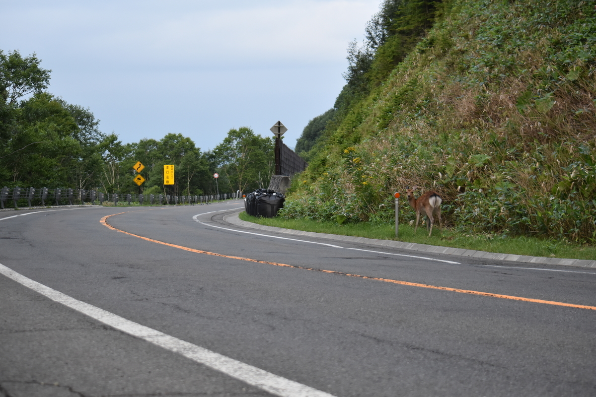 f:id:on-yasuken:20210813173530j:plain