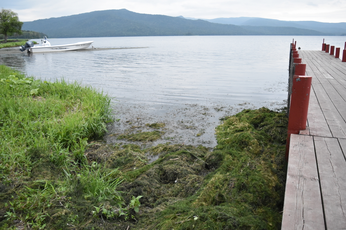 f:id:on-yasuken:20210813182631j:plain