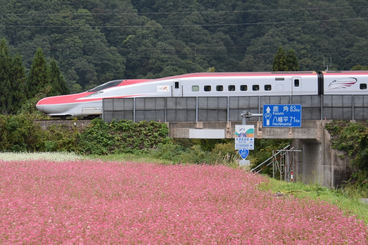 f:id:on-yasuken:20210923141033j:plain