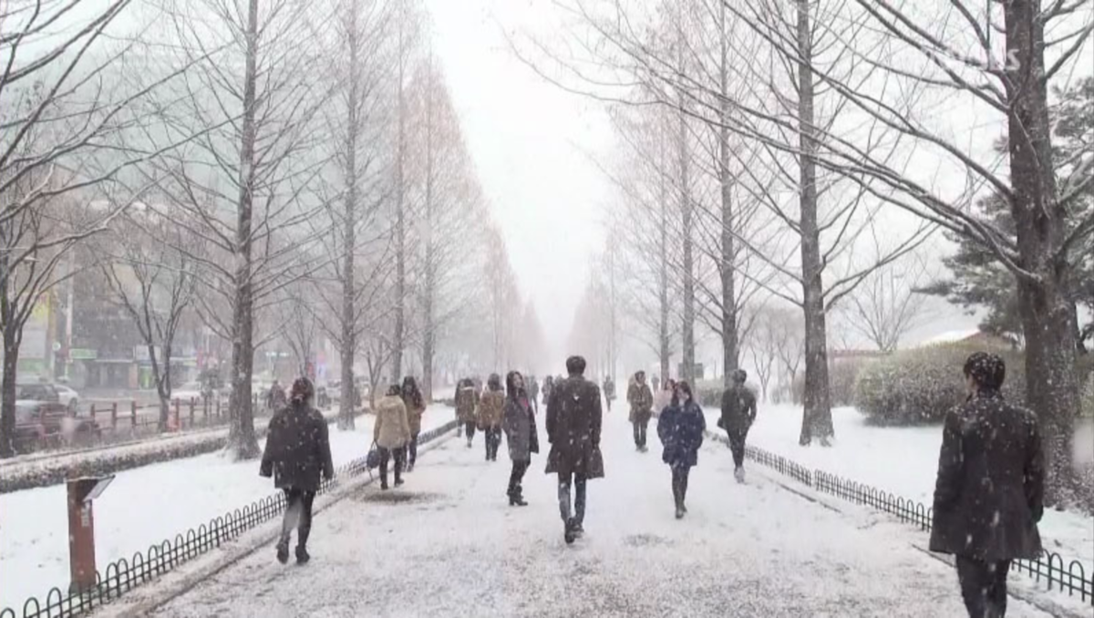 ドラマ　相続者たち