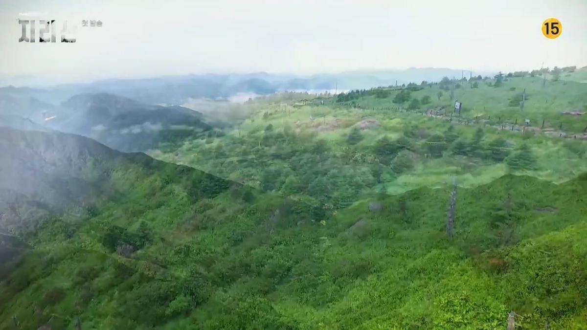 ドラマ　智異山