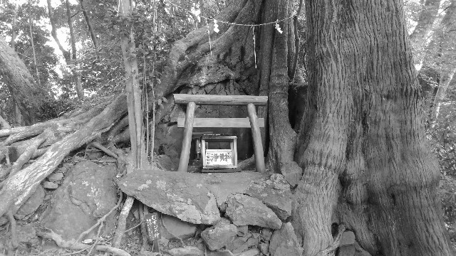 f:id:onaiita:20201202153331j:image 事任八幡宮の禁足地