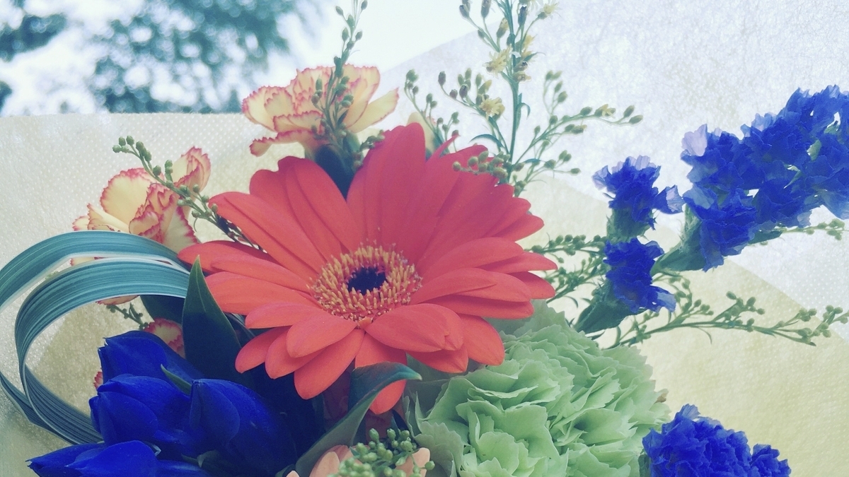 f:id:onaji:20201213233713j:plain