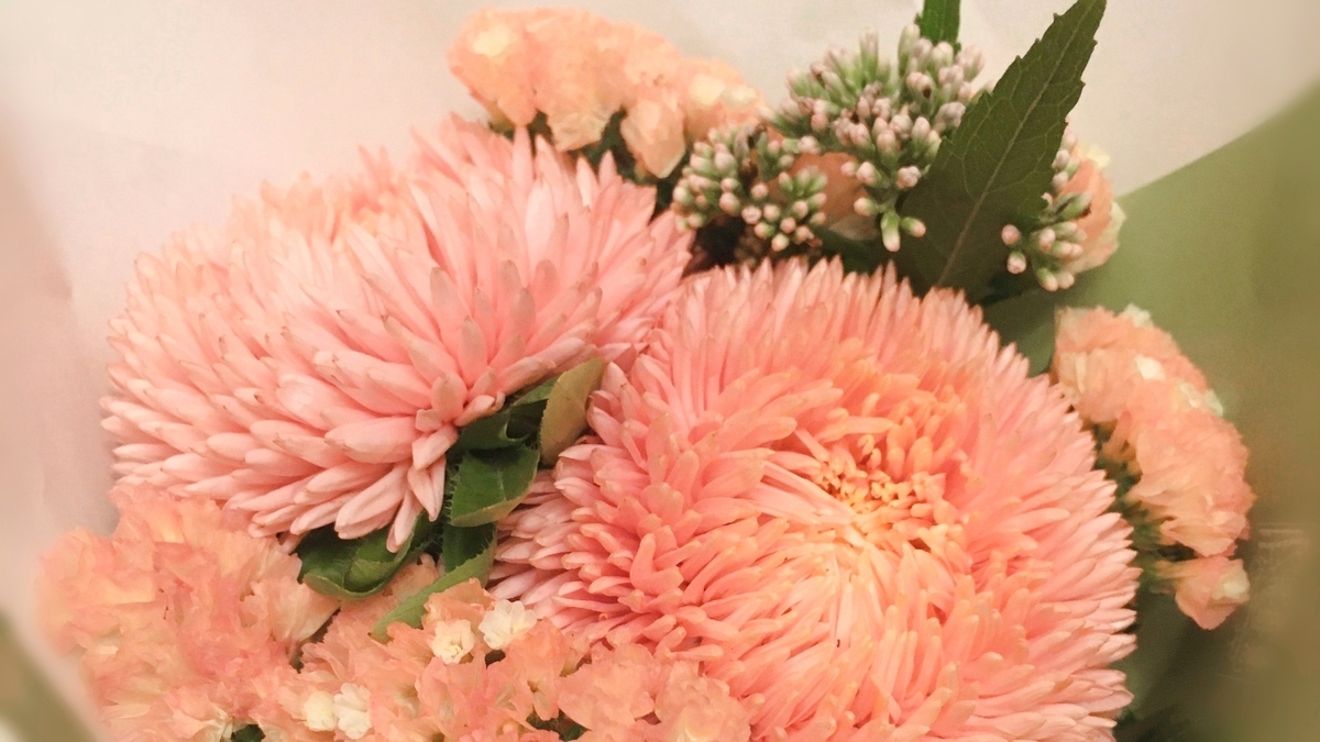 f:id:onaji:20201213233744j:plain