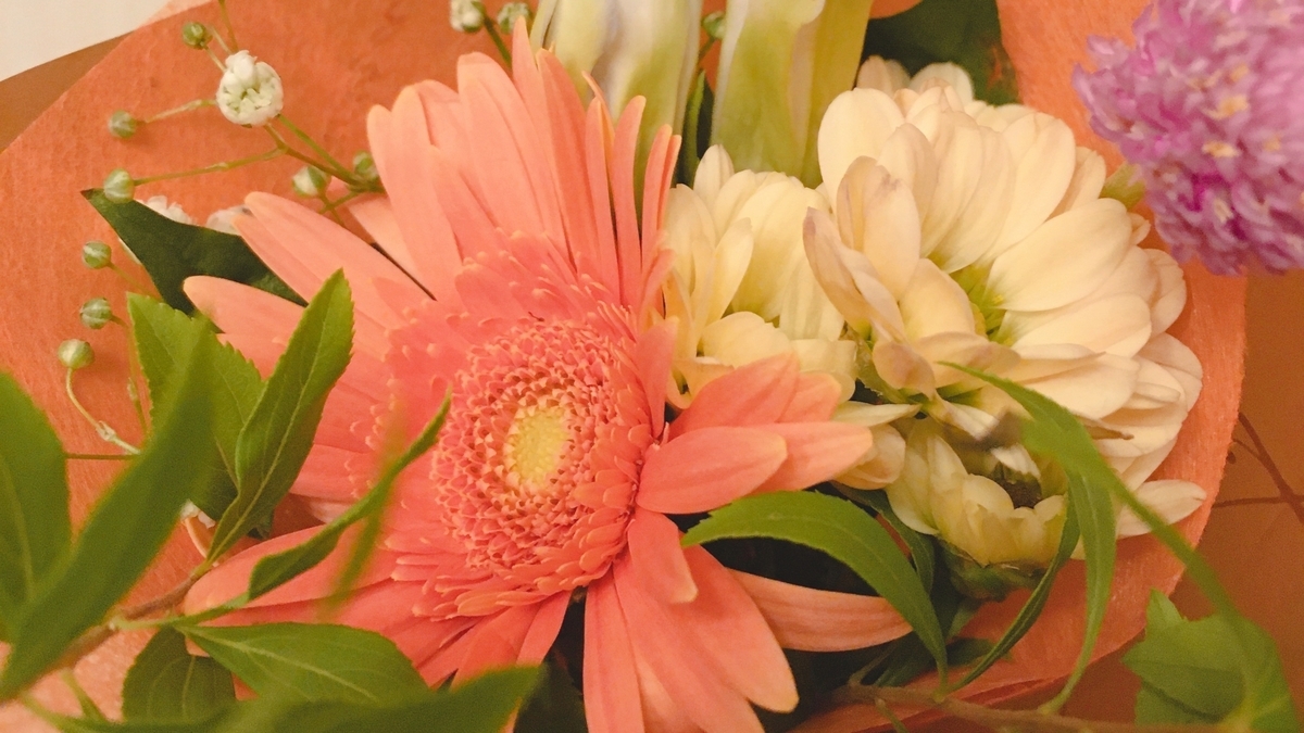 f:id:onaji:20201213233819j:plain