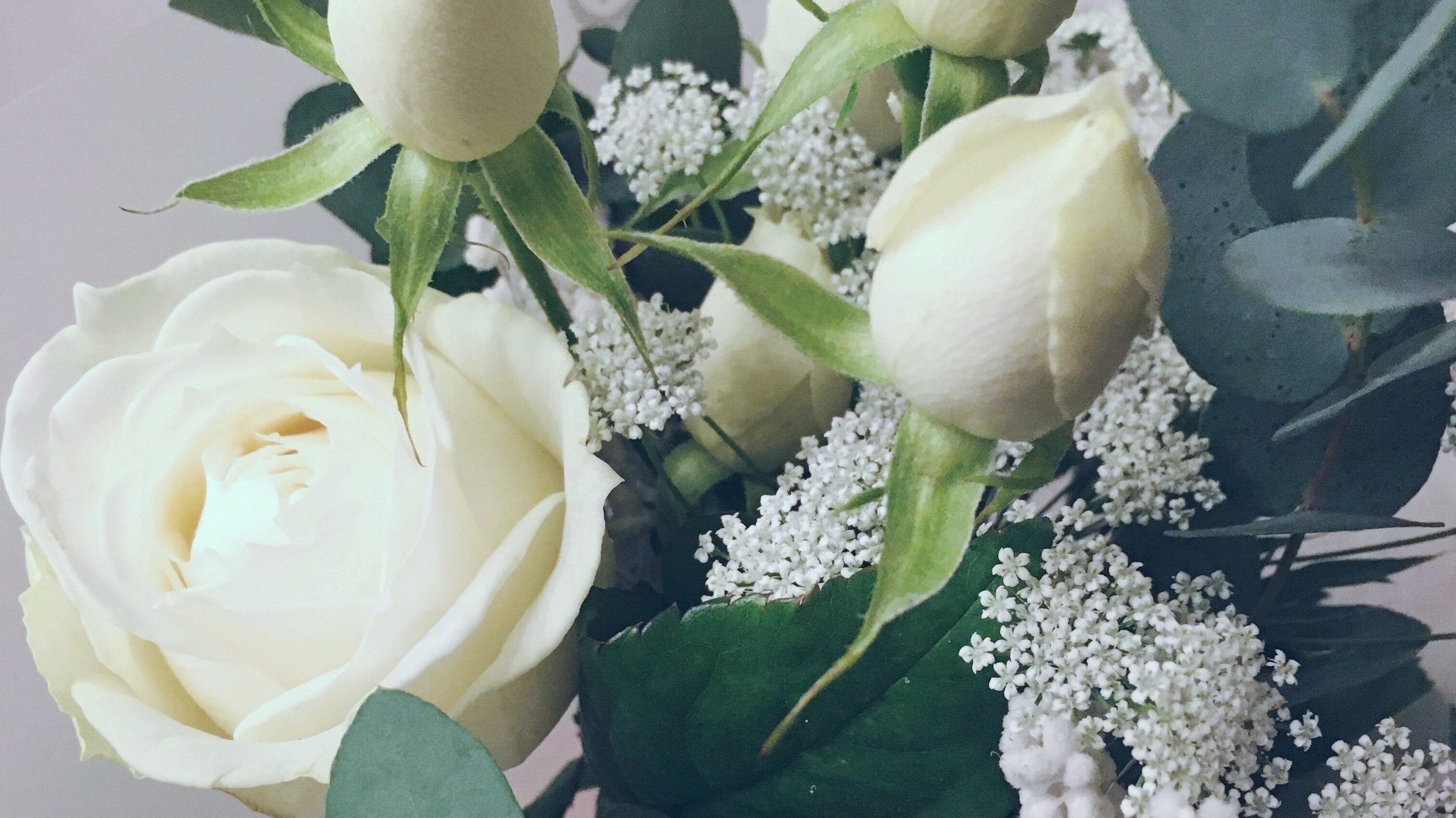 f:id:onaji:20210205001601j:image f:id:onaji:20210205001601j:image