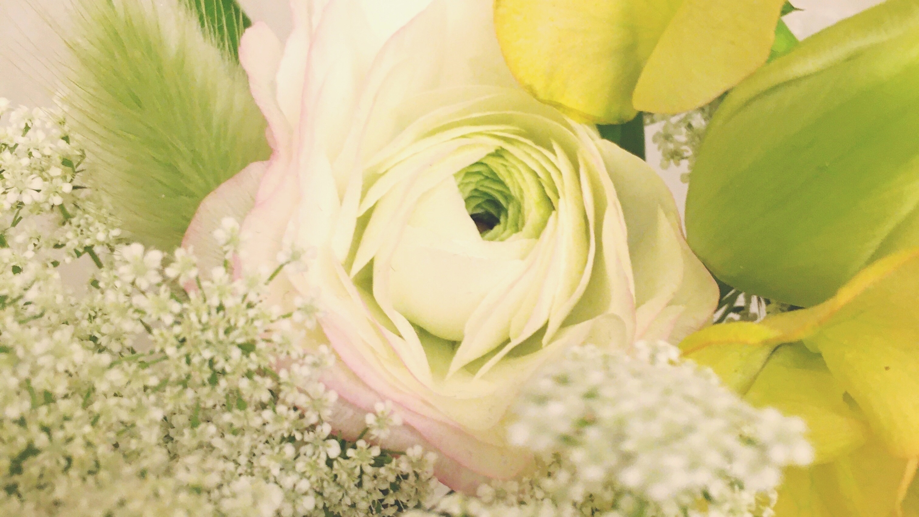 f:id:onaji:20210206000658j:image f:id:onaji:20210206000658j:image