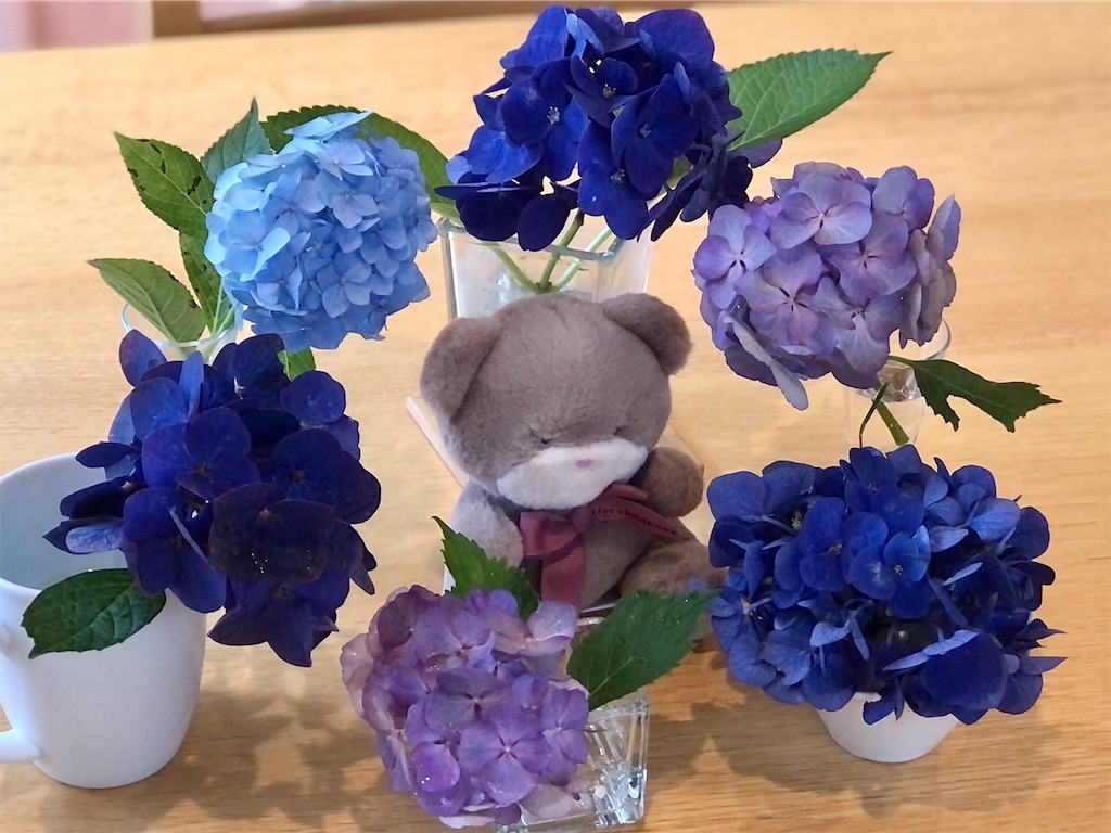 f:id:onakasan4649:20220627165759j:image