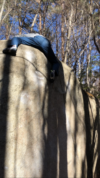 f:id:onakasuitakotonai:20201130233556p:plain