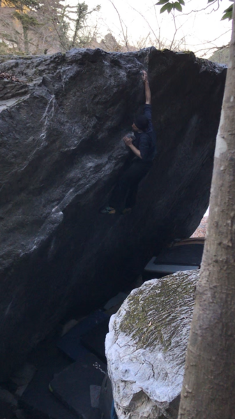 f:id:onakasuitakotonai:20201228225230p:plain