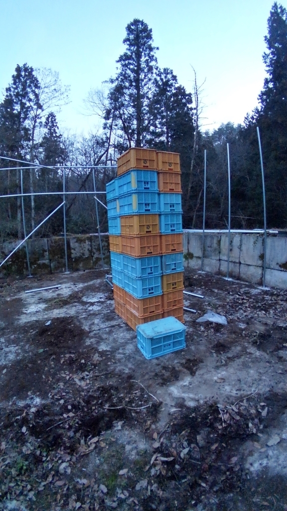 f:id:onansasa:20190225182539j:plain