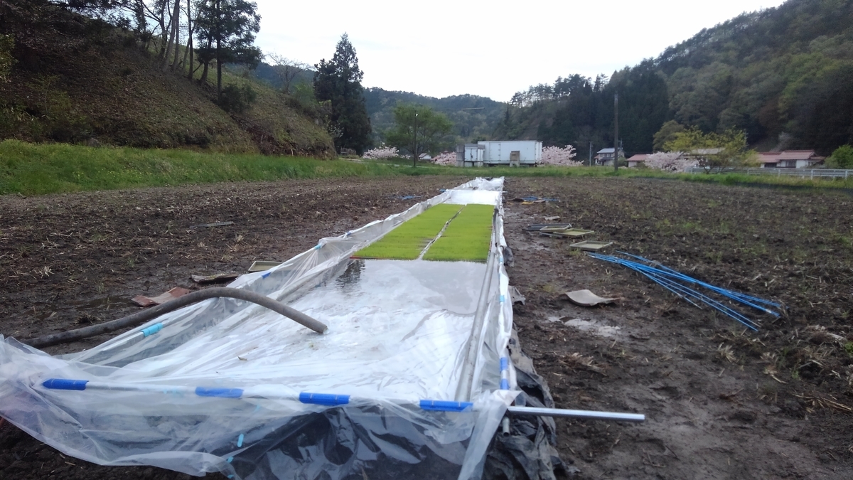 f:id:onansasa:20190501150921j:plain