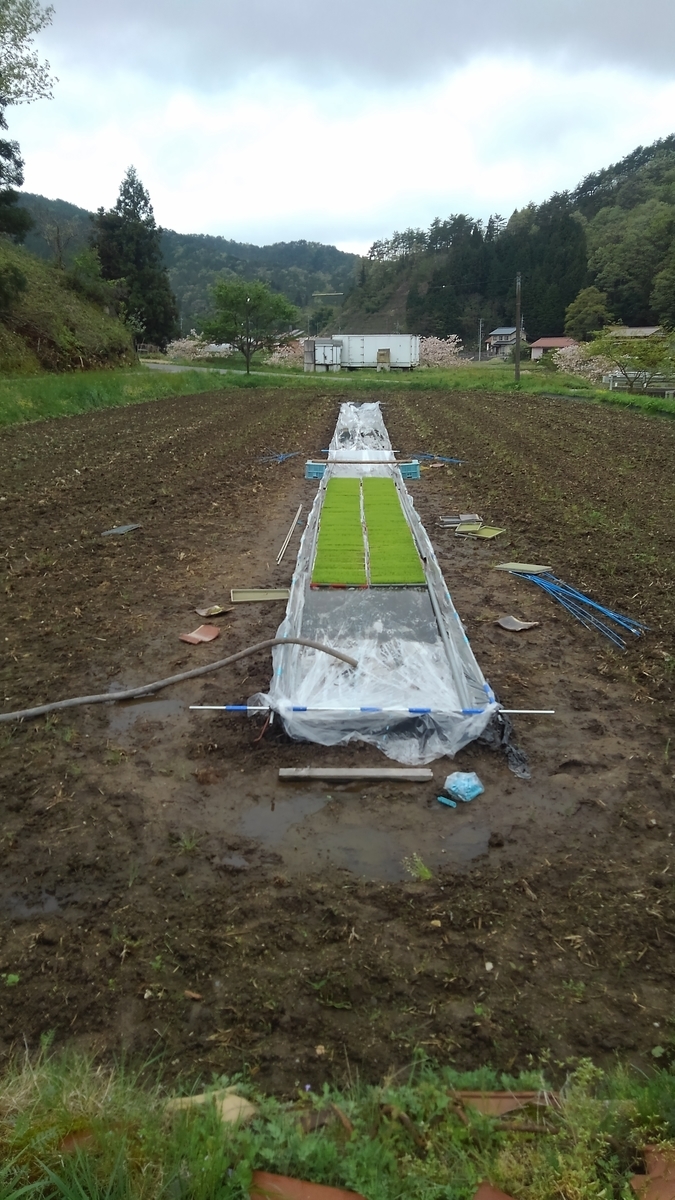 f:id:onansasa:20190501151040j:plain