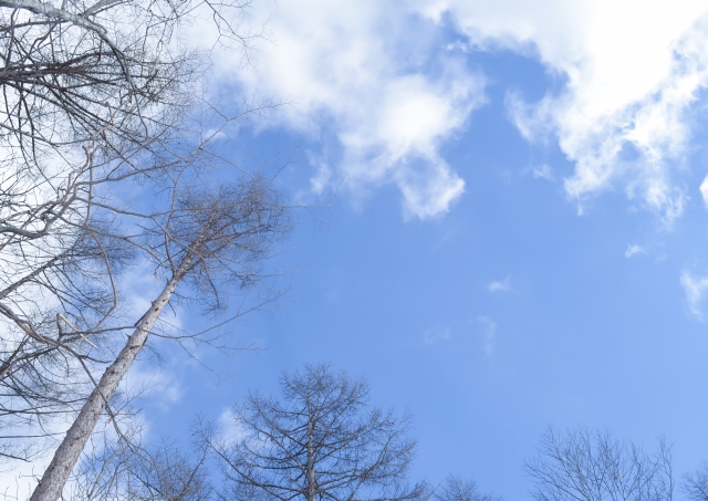 f:id:onayamijogen:20191209223243j:plain f:id:onayamijogen:20191209223243j:plain