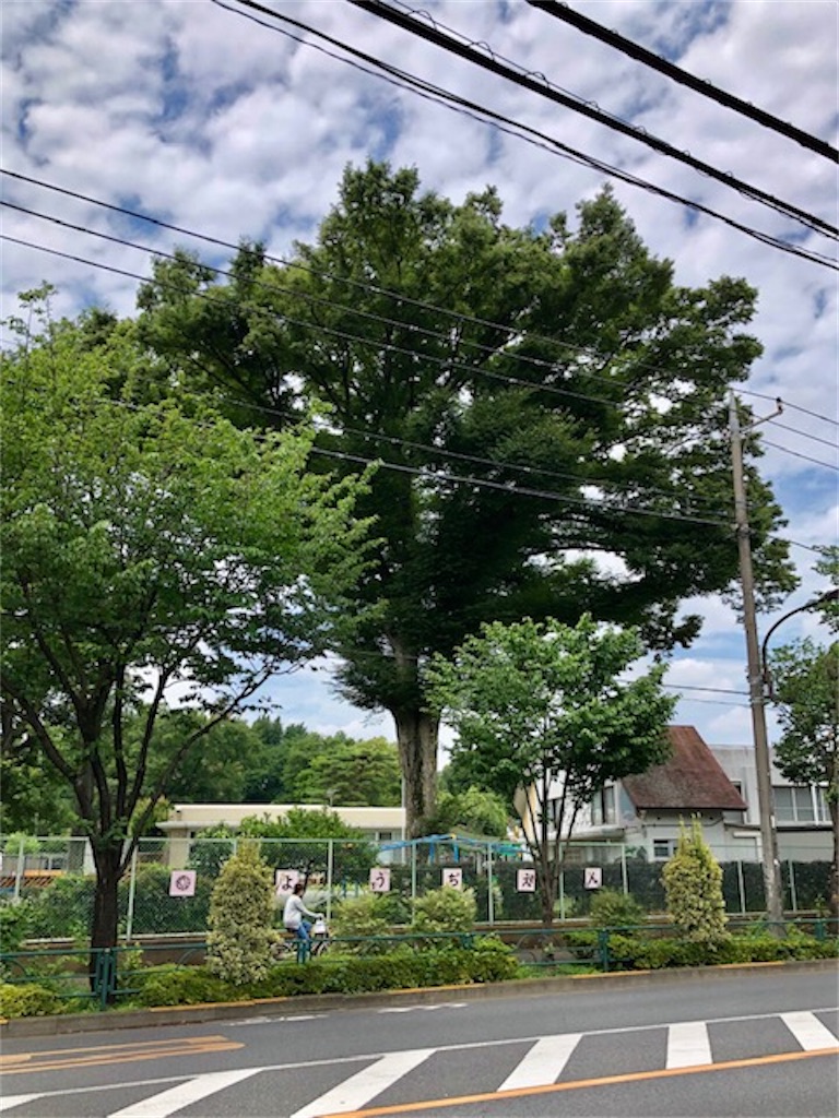 f:id:onboroALFA:20210705044826j:image f:id:onboroALFA:20210705044826j:image