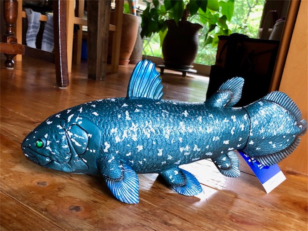 f:id:onboroALFA:20210705045227j:image f:id:onboroALFA:20210705045227j:image