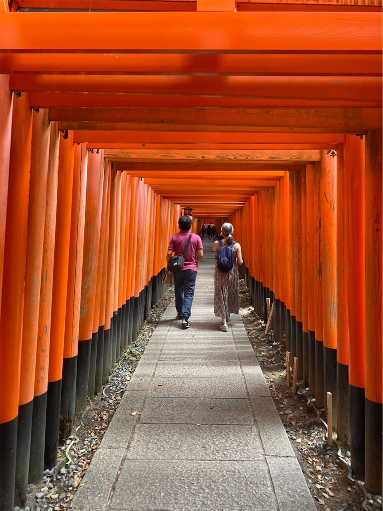 f:id:onboroALFA:20210705045300j:image f:id:onboroALFA:20210705045300j:image