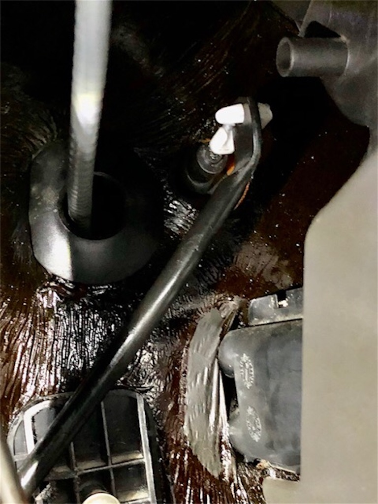 f:id:onboroALFA:20210717042125j:image f:id:onboroALFA:20210717042125j:image