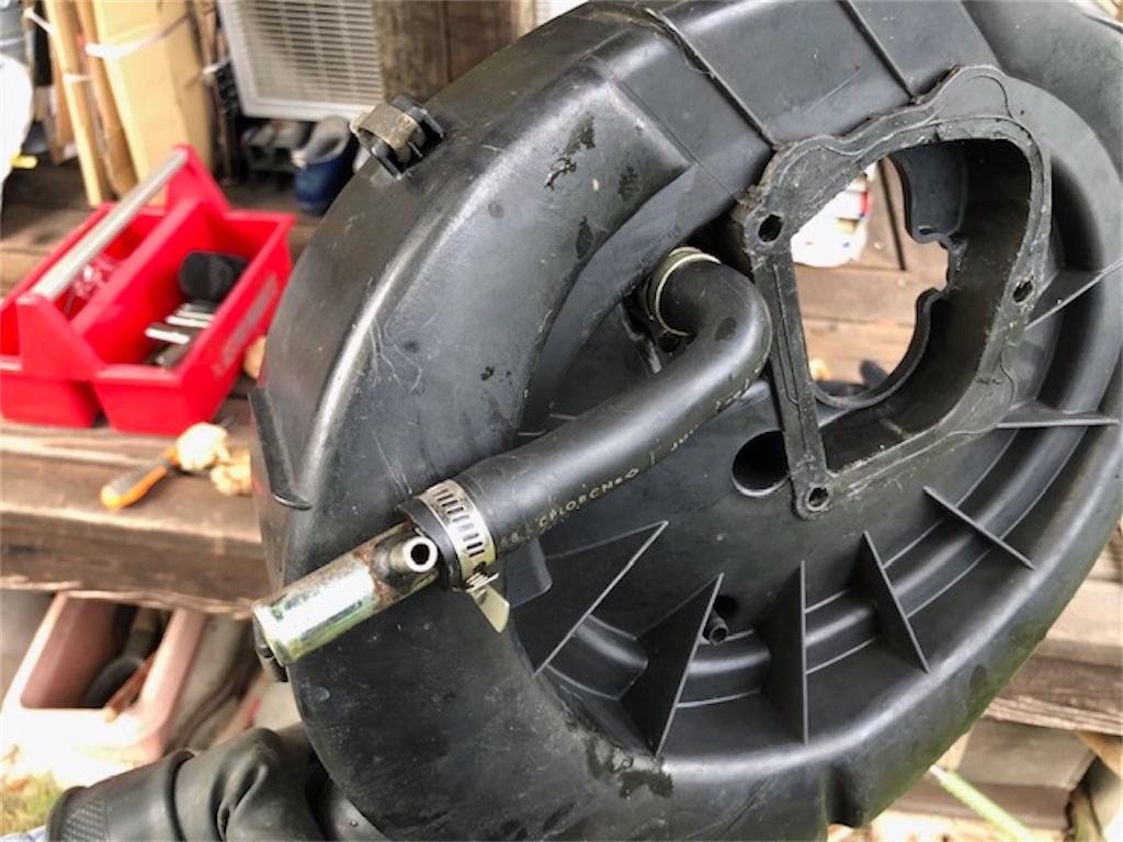 f:id:onboroALFA:20210720044053j:image f:id:onboroALFA:20210720044053j:image