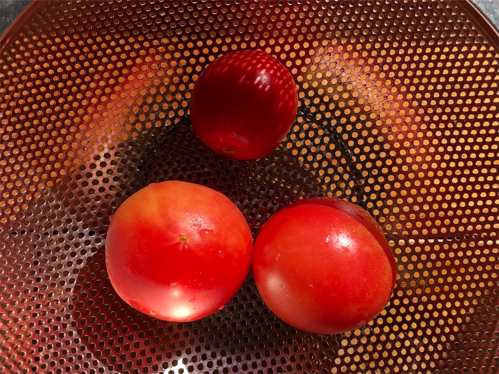 f:id:onboroALFA:20221213132311j:image f:id:onboroALFA:20221213132311j:image