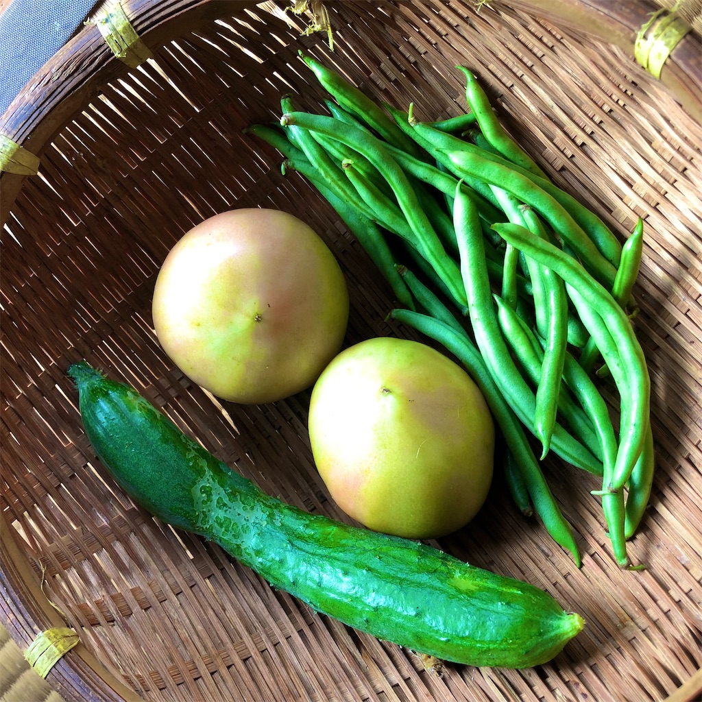 f:id:onboroALFA:20230713225625j:image f:id:onboroALFA:20230713225625j:image