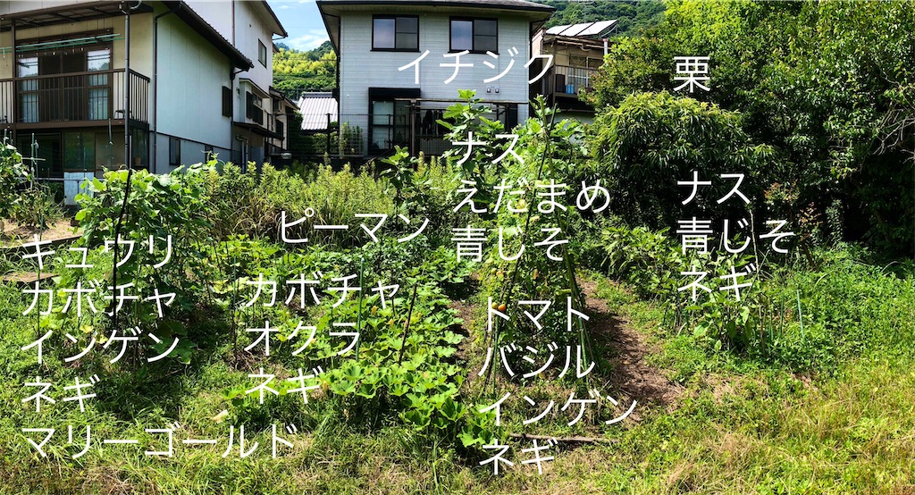 f:id:onboroALFA:20230720040014j:image f:id:onboroALFA:20230720040014j:image