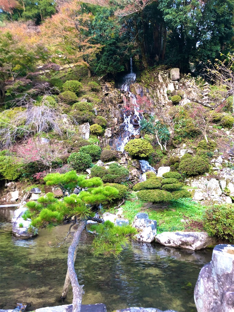 f:id:onboroALFA:20231224134541j:image