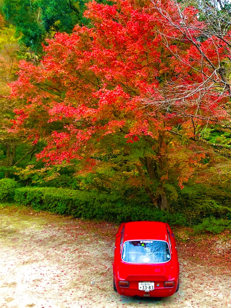 f:id:onboroALFA:20231224135120j:image