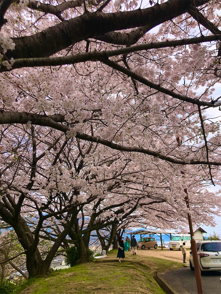 f:id:onboroALFA:20240406231516j:image f:id:onboroALFA:20240406231516j:image