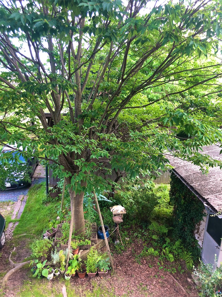 f:id:onboroALFA:20240712142608j:image f:id:onboroALFA:20240712142608j:image