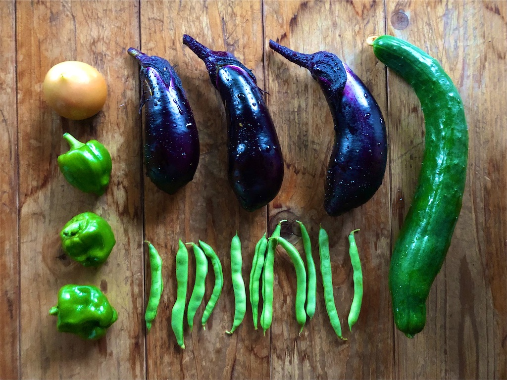 f:id:onboroALFA:20240712143043j:image f:id:onboroALFA:20240712143043j:image