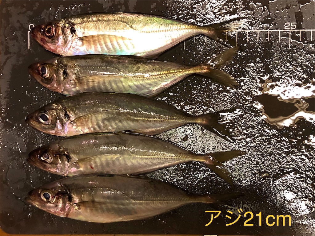 f:id:onboroALFA:20240809145346j:image