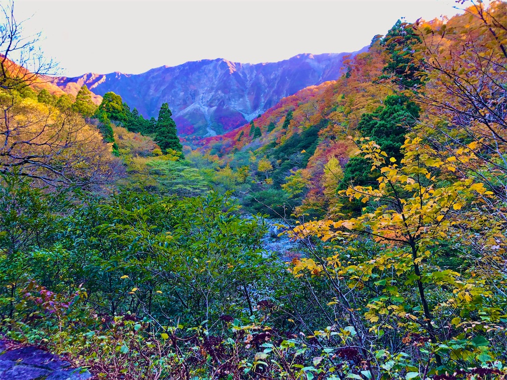 f:id:onboroALFA:20241111123646j:image