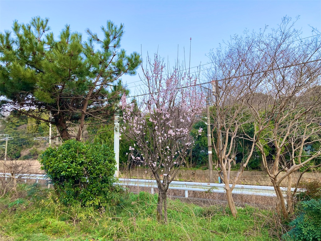f:id:onboroALFA:20250323120402j:image f:id:onboroALFA:20250323120402j:image