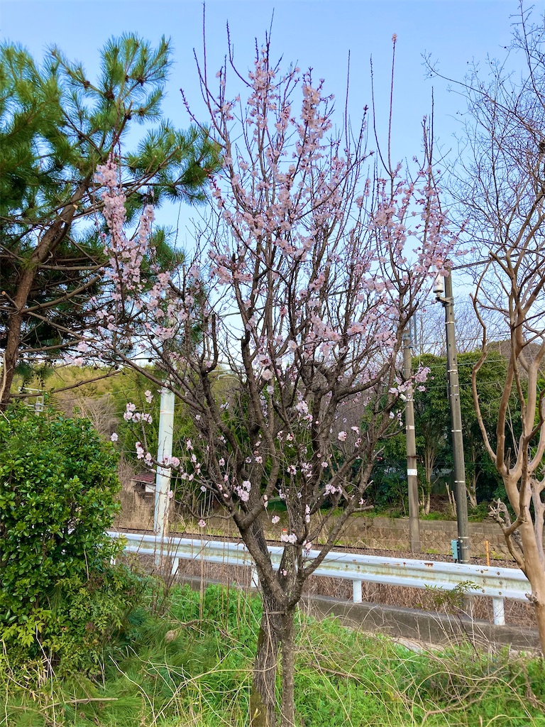 f:id:onboroALFA:20250323120406j:image f:id:onboroALFA:20250323120406j:image