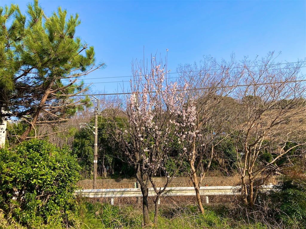 f:id:onboroALFA:20250323120409j:image f:id:onboroALFA:20250323120409j:image